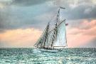 Laminate