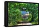Canvas Black
