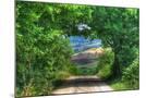 Wood Mount