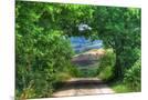 Wood Mount