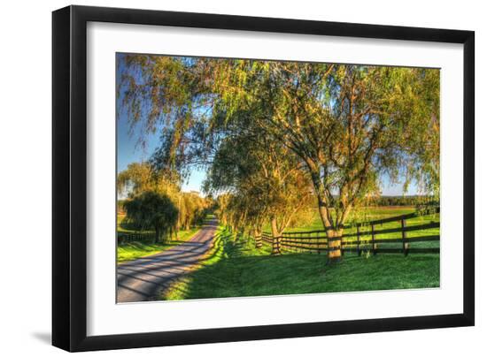 Premium Photographic Print, , large