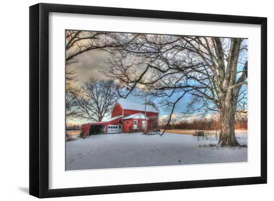 Premium Photographic Print, , large