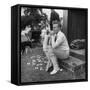 Robert Graves Sitting on Steps Dressed for Cricket-William Sumits-Framed Stretched Canvas