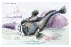 Blackfish and Pilas Fish-Robert Hamilton-Art Print