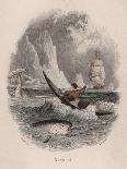 Greenland Whale-Robert Hamilton-Giclee Print