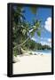Essential Black