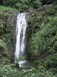 Tabacon Hot Springs, Volcanic Hot Springs Fed from the Arenal Volcano, Arenal, Costa Rica-Robert Harding-Photographic Print