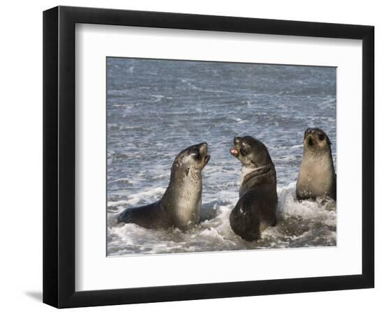 Photographic Print, , large