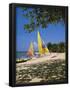 Essential Black