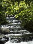 Tabacon Hot Springs, Volcanic Hot Springs Fed from the Arenal Volcano, Arenal, Costa Rica-Robert Harding-Photographic Print