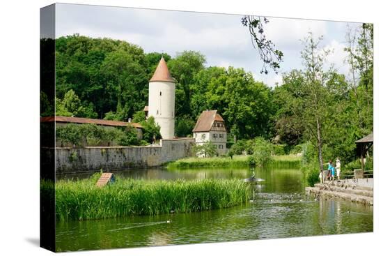 Stretched Canvas Print, , large