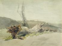 The Fallen Tree, C.1804-Robert Hills-Mounted Giclee Print