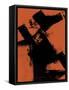 Framed Canvas