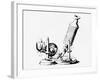 Robert Hooke's Microscope In Micrographia 1665-Jeremy Burgess-Framed Photographic Print