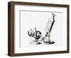 Robert Hooke's Microscope In Micrographia 1665-Jeremy Burgess-Framed Photographic Print