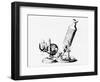 Robert Hooke's Microscope In Micrographia 1665-Jeremy Burgess-Framed Photographic Print