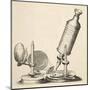 Robert Hooke's Microscope-null-Mounted Art Print