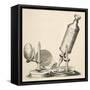 Robert Hooke's Microscope-null-Framed Stretched Canvas