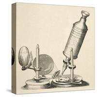 Robert Hooke's Microscope-null-Stretched Canvas