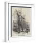 Robert-Houdin's Soirees Fantastiques-null-Framed Giclee Print