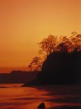 Pacific Coast Rain Forest at Dusk, Costa Rica-Robert Houser-Premium Photographic Print