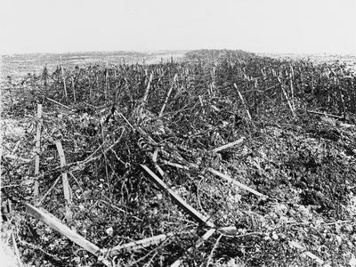 Battles of Arras 1917