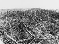 German Crack Soldiers on the Western Front During World War I-Robert Hunt-Mounted Photographic Print