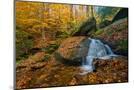 Wood Mount