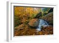 White Frame