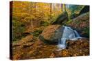 Stretched Canvas