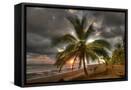 Canvas Black