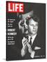 Robert Kennedy, Will He Dare Run in 68, November 18, 1966-Bill Eppridge-Stretched Canvas