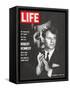 Robert Kennedy, Will He Dare Run in 68, November 18, 1966-Bill Eppridge-Framed Stretched Canvas