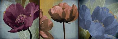 Bouquet D'Amour I-Robert Lacie-Giclee Print