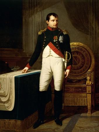 Napoleon Bonaparte's Portrait, 1809