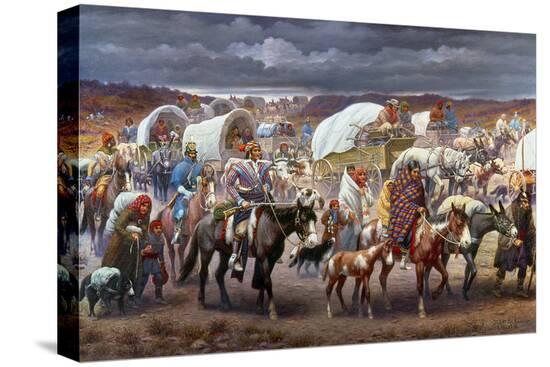 Stretched Canvas Print, , large