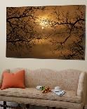 Branches Surrounding Harvest Moon-Robert Llewellyn-Photographic Print