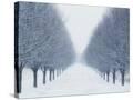 Stretched Canvas