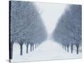 Stretched Canvas