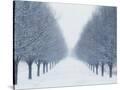 Stretched Canvas