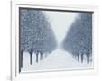 Gramercy White
