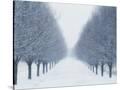 Stretched Canvas