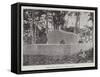 Robert Louis Stevenson's Tomb in Samoa-null-Framed Stretched Canvas