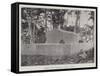 Robert Louis Stevenson's Tomb in Samoa-null-Framed Stretched Canvas