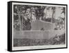 Robert Louis Stevenson's Tomb in Samoa-null-Framed Stretched Canvas