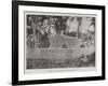 Robert Louis Stevenson's Tomb in Samoa-null-Framed Giclee Print