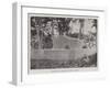 Robert Louis Stevenson's Tomb in Samoa-null-Framed Giclee Print