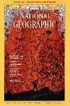 Cover of the March, 1975 National Geographic Magazine-Robert Madden-Laminated Premium Photographic Print