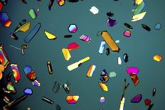 Aspirin Crystals, Light Micrograph-Robert Markus-Photographic Print