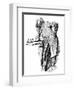 Robert Marq. Salisbury-Harry Furniss-Framed Art Print